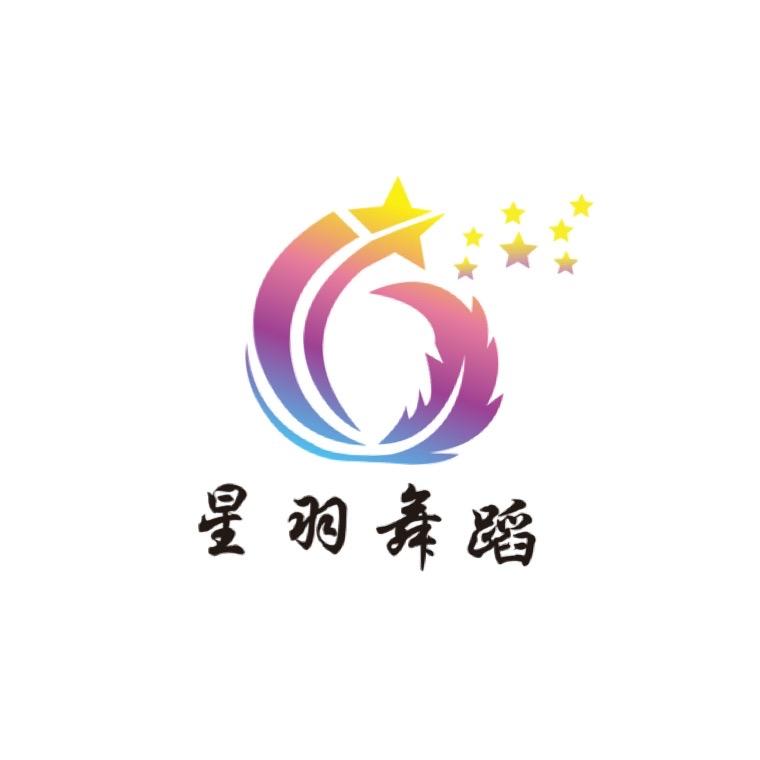 星羽舞蹈艺术培训中心