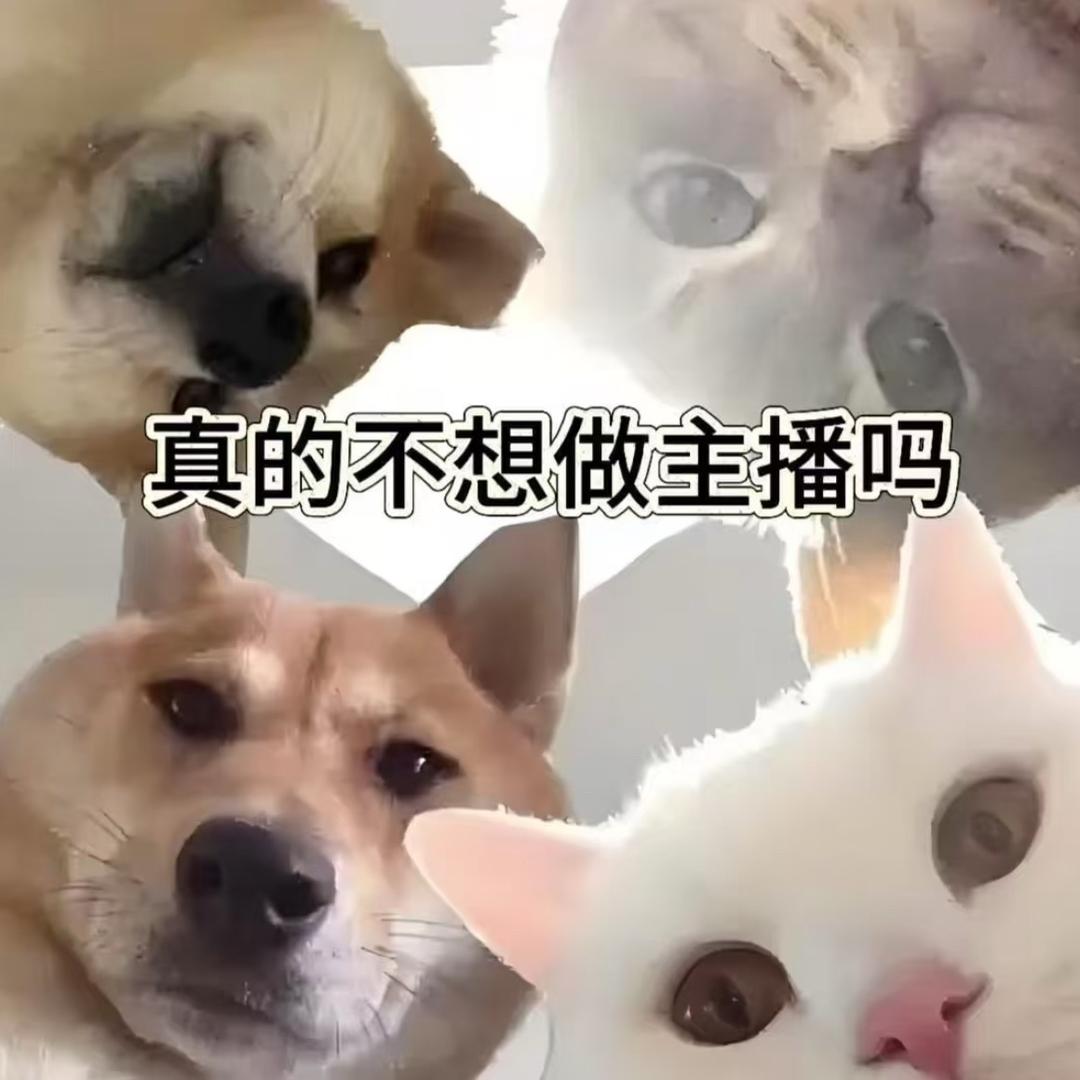 欣欣（歌拉丝歌洗护专场）
