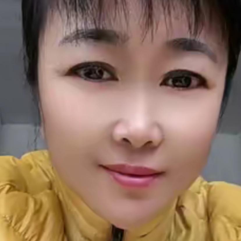 琴