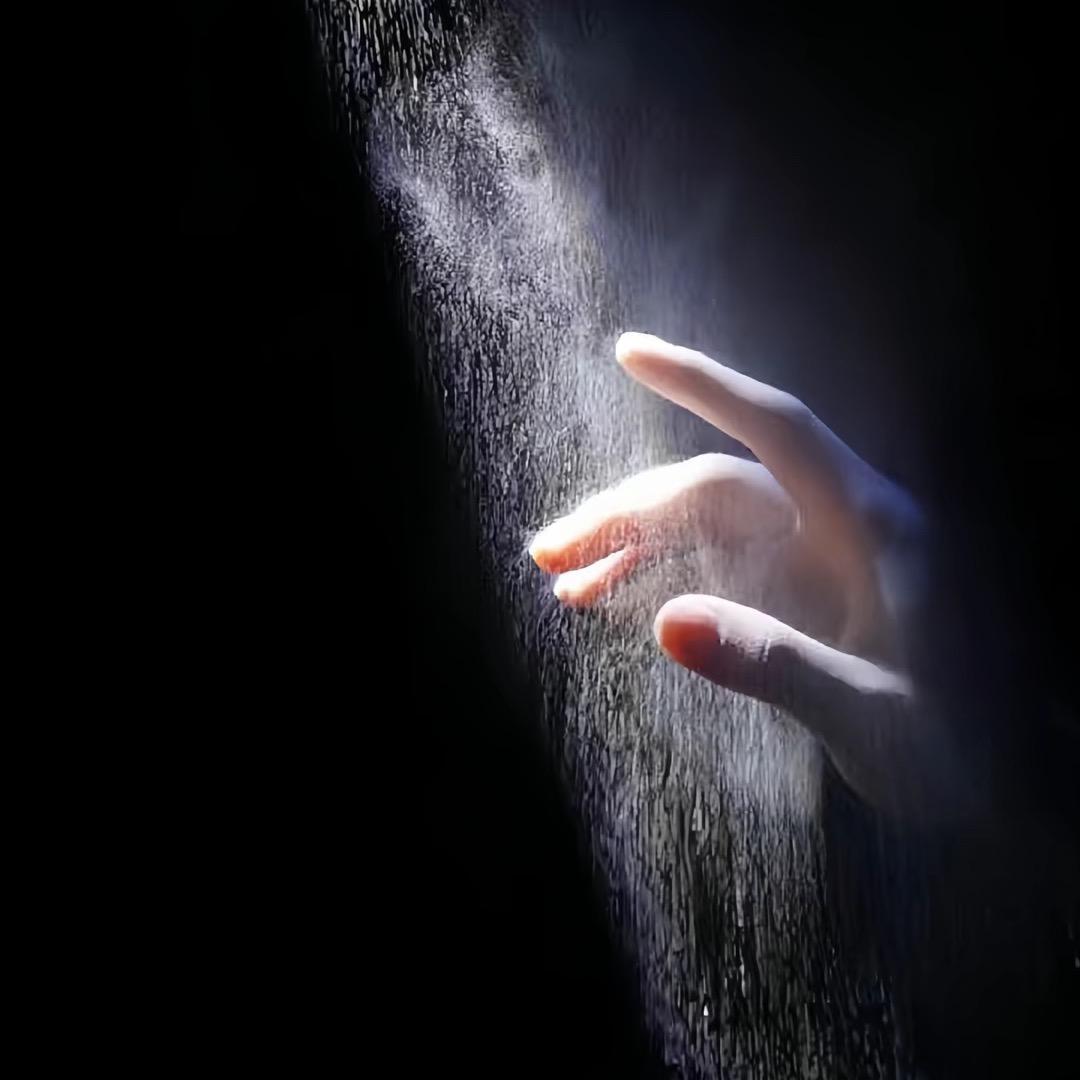 龙腾虎跃99