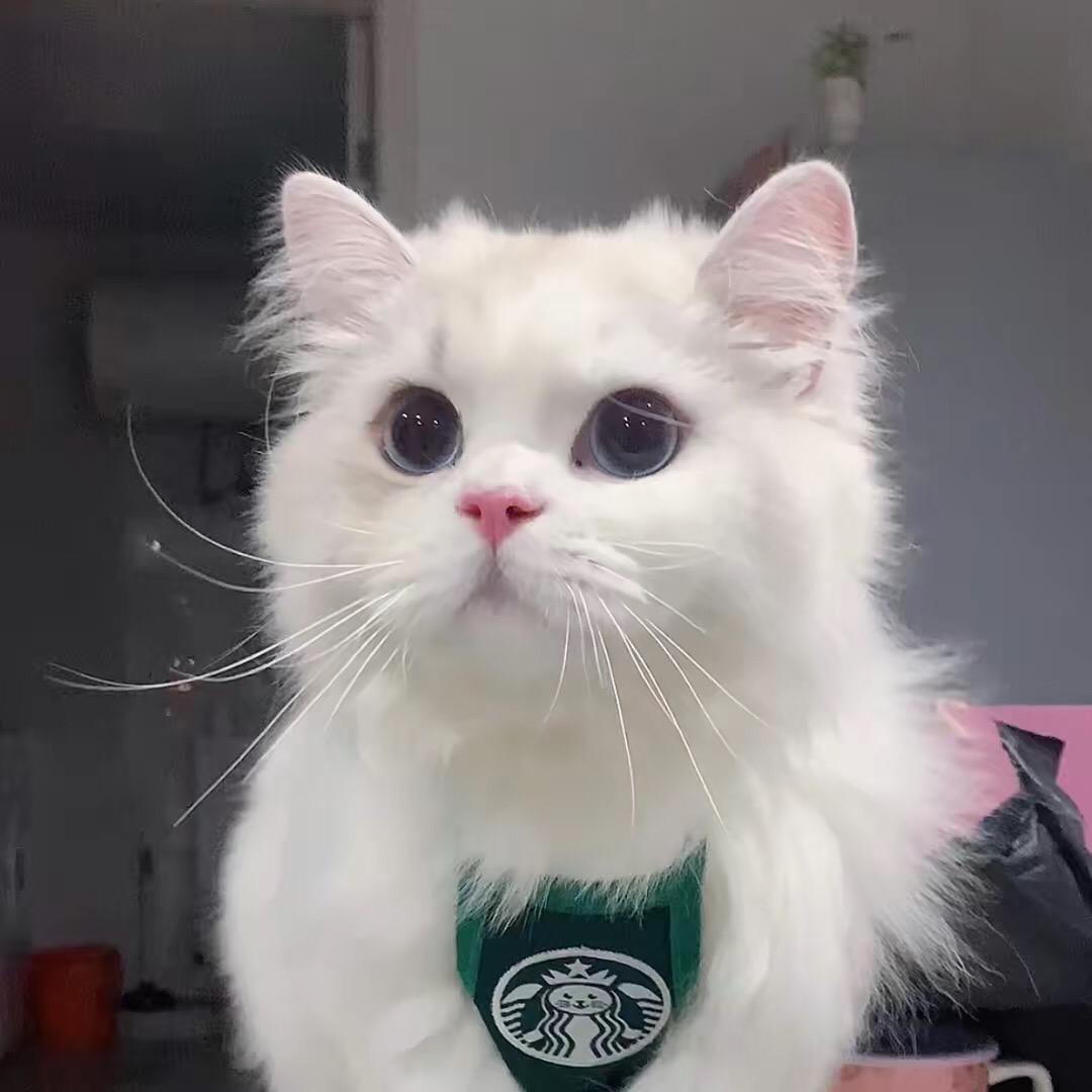 啦啦嘻嘻