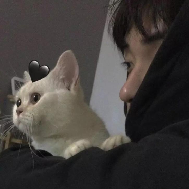外下羊