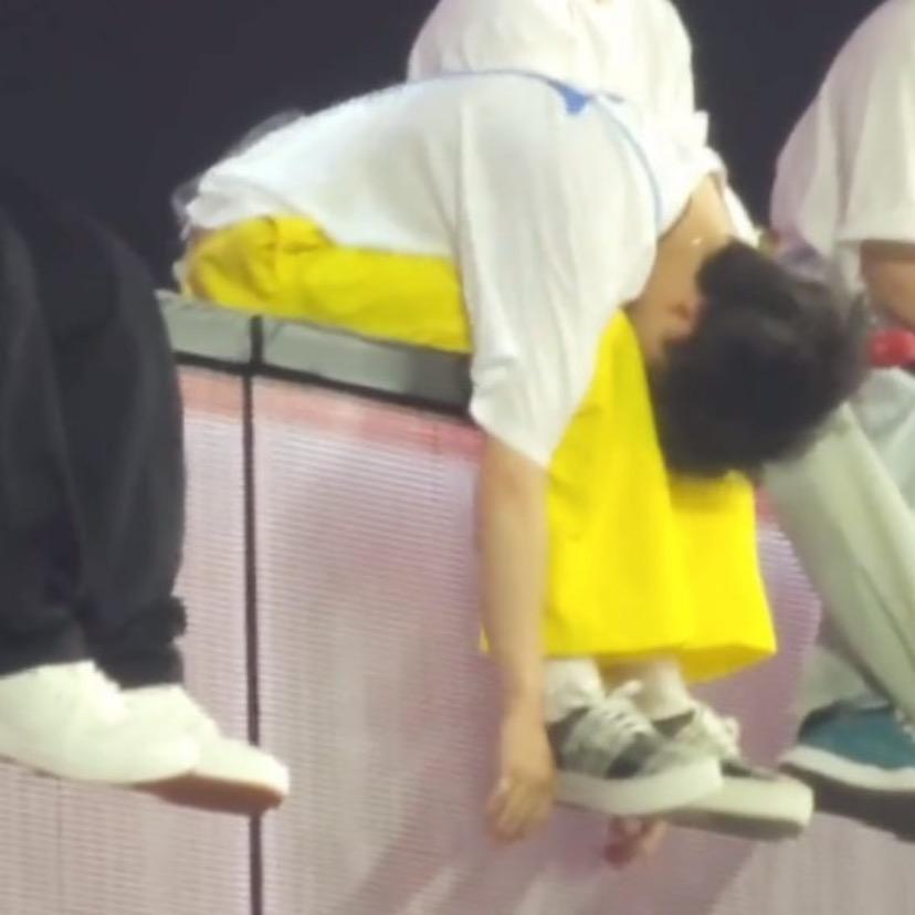 羊津大学高材生