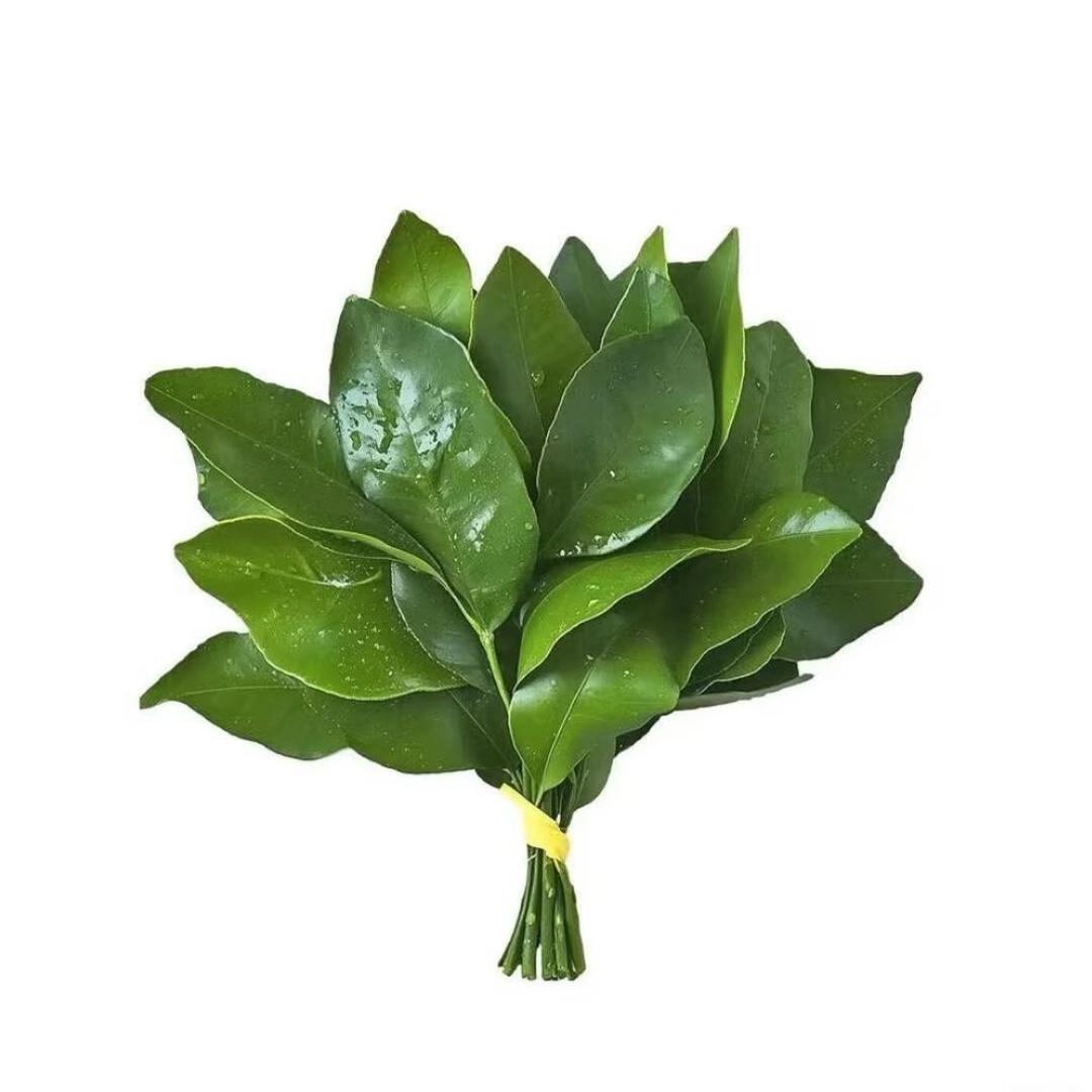 悲伤的琪琪