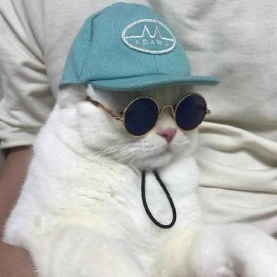 狗蛋儿先生╭☞( ￣ ▽￣)╭☞