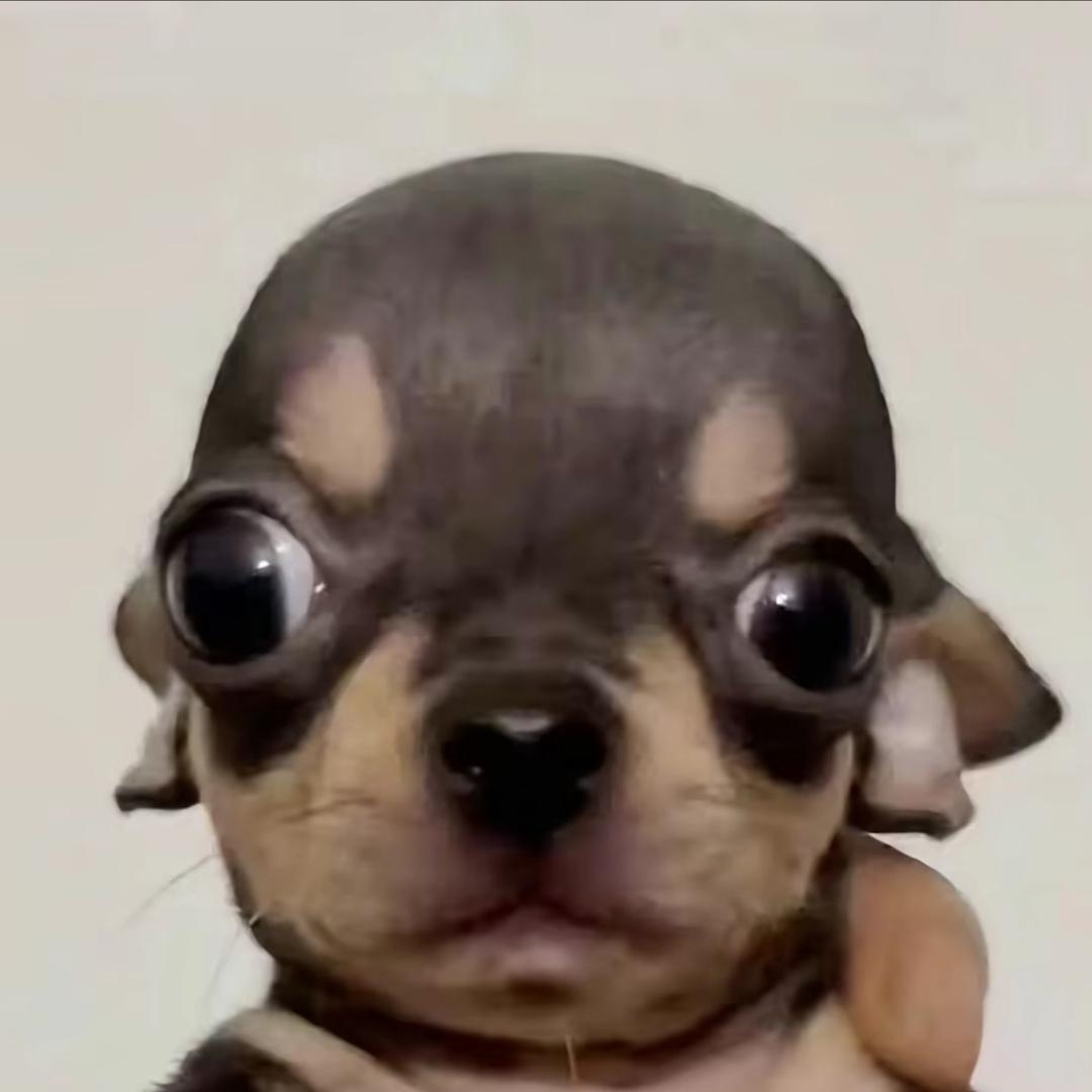 ㅎㅍ