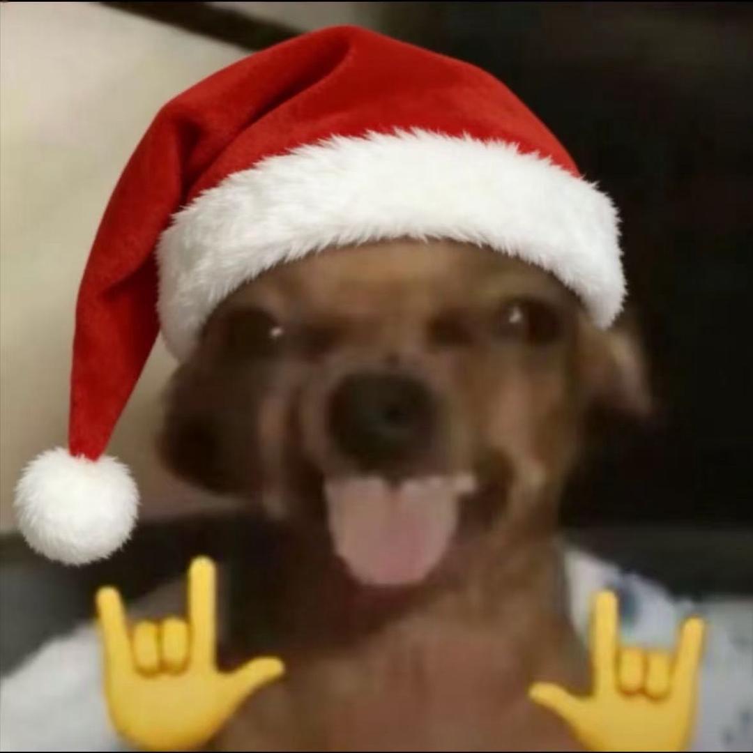 淡水养不了鲨鱼