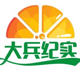 大兵纪实