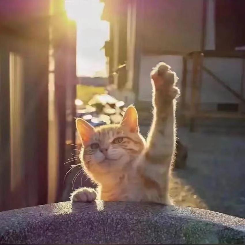 安河桥～