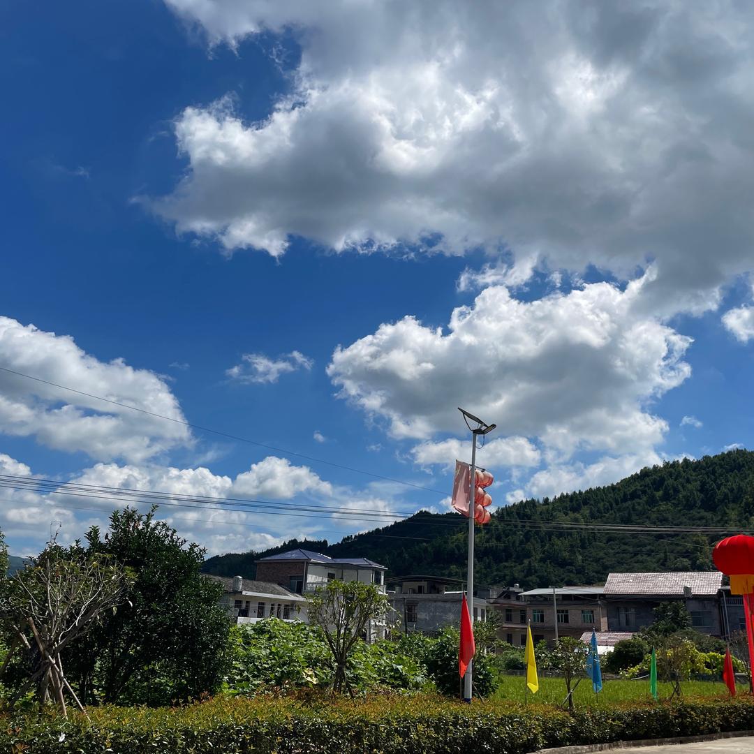 柠檬百香果