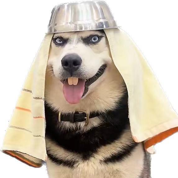 四横一竖