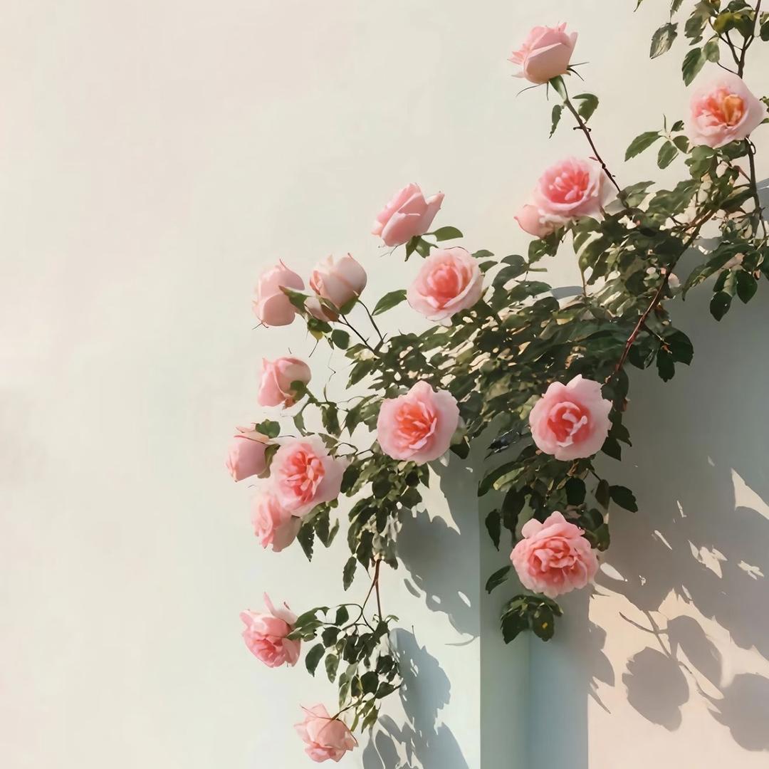 知心服装推荐官