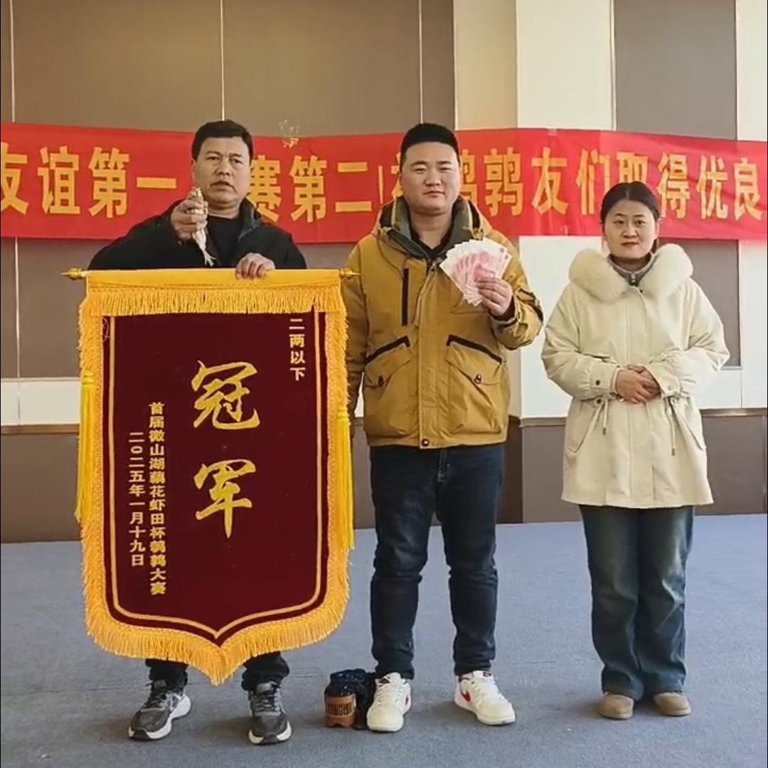 微山湖斗鹌鹑1
