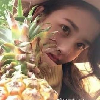 袁袁圈