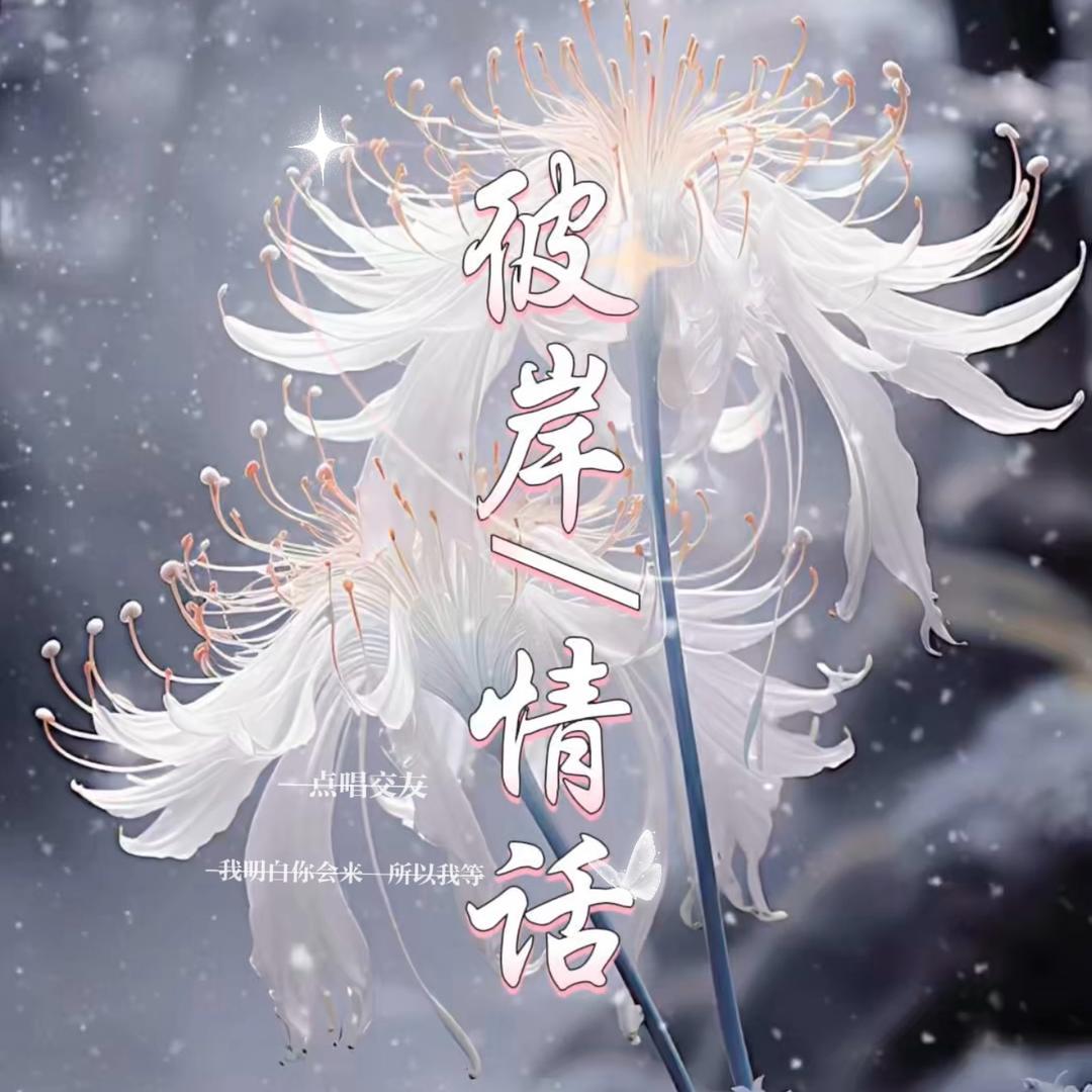 彼岸情话/新厅待👑