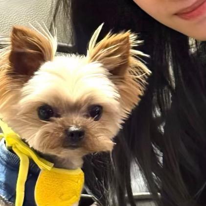 多多（永劫无间）