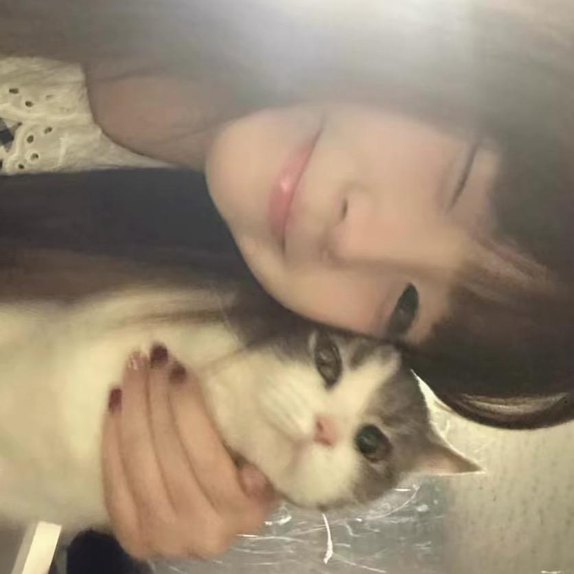 晚安妮子