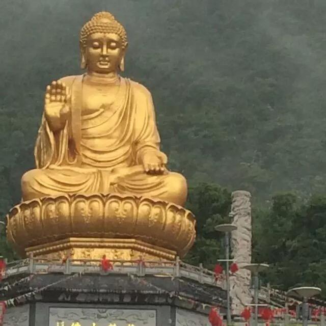 仙草水💦