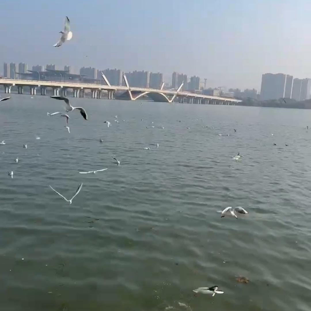 夏雨、
