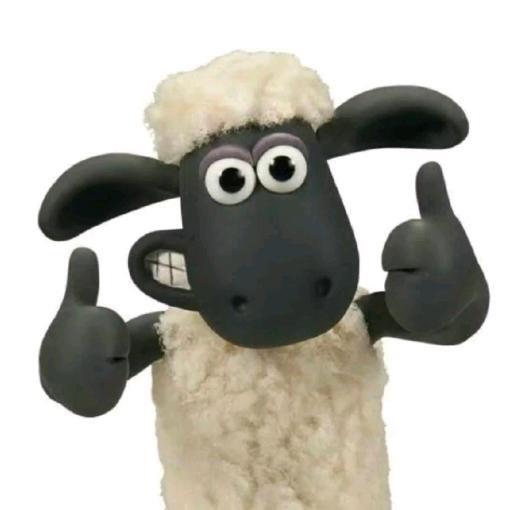 小阳（三角洲）