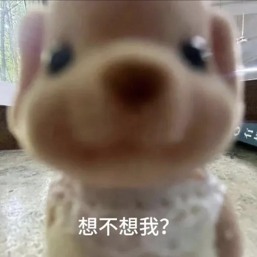 哈哈