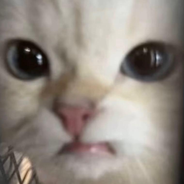 我用小拇指挖鼻孔