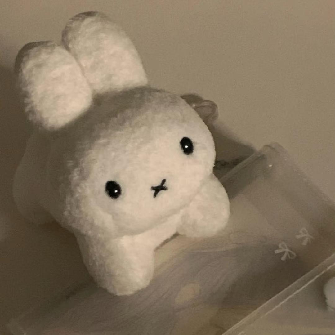 杲杲💫