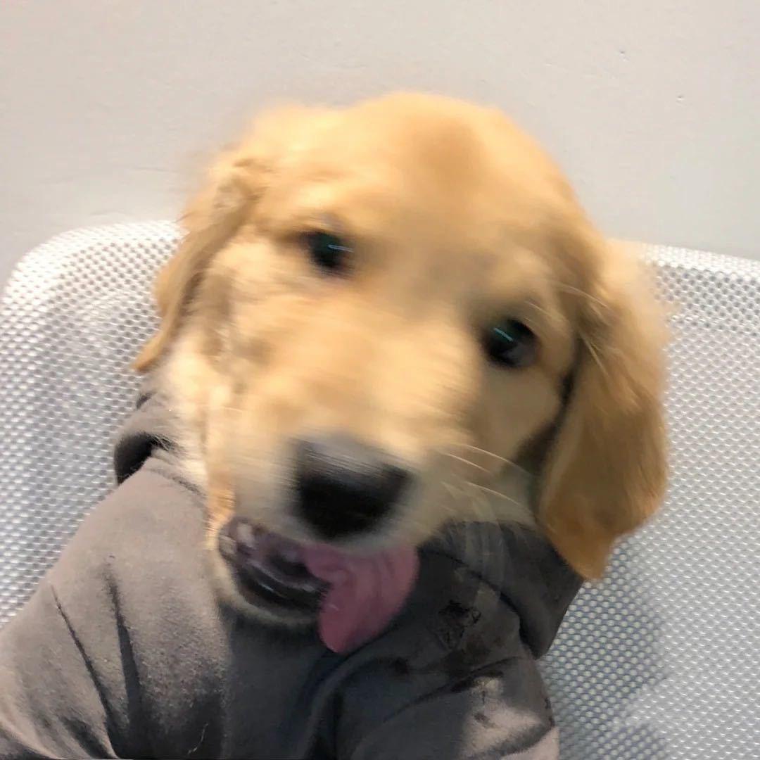 李狄