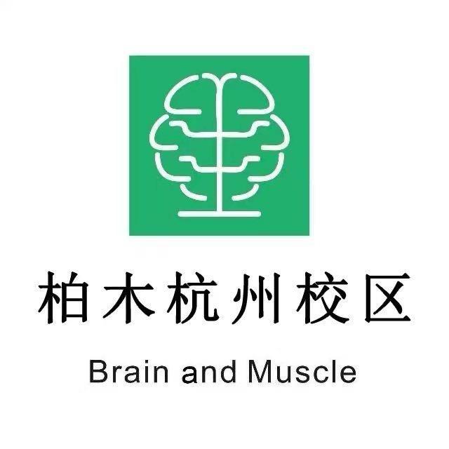 杭州柏木篮球单招训练营