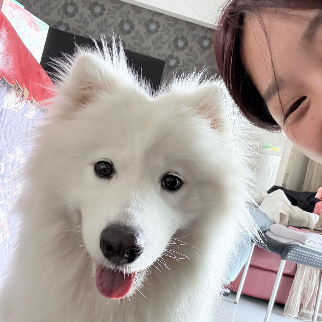 旺仔小鱼🐟