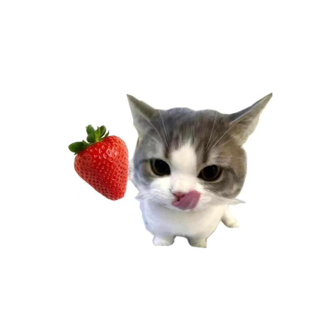堇荼.♪