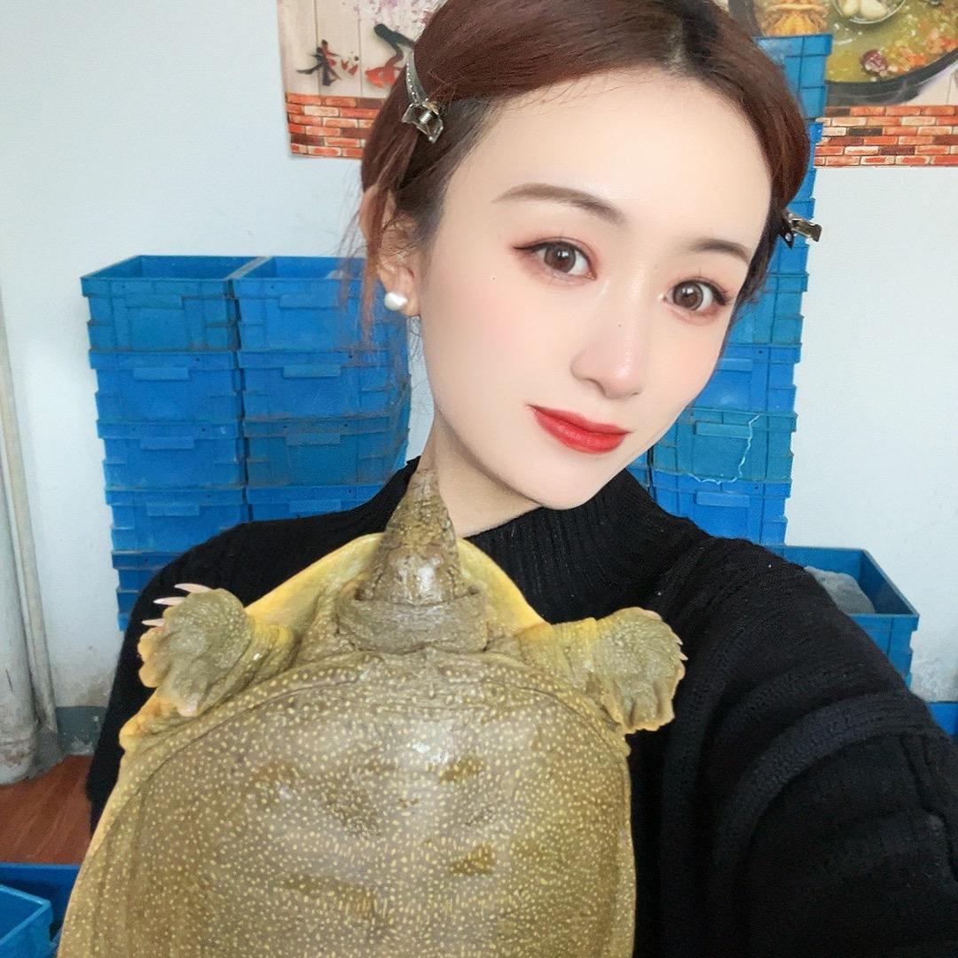 小梦卖甲鱼精选号