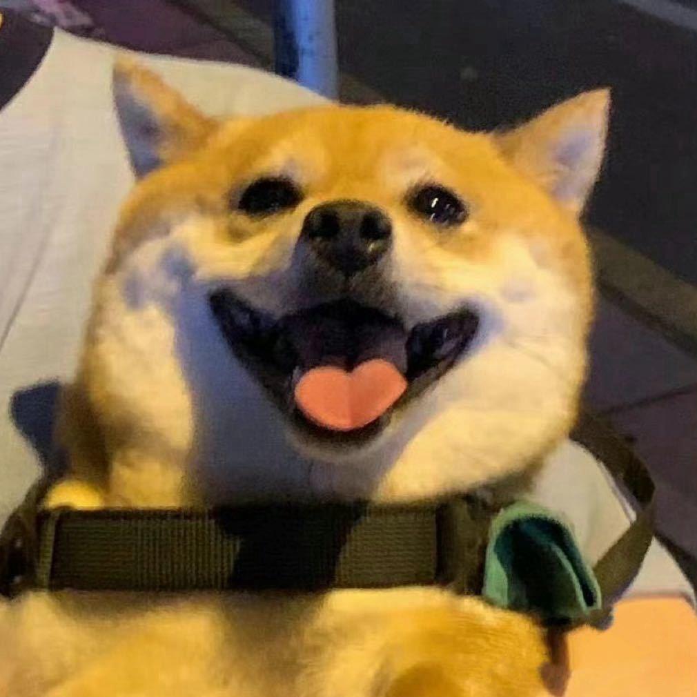 海绵(三角洲行动)