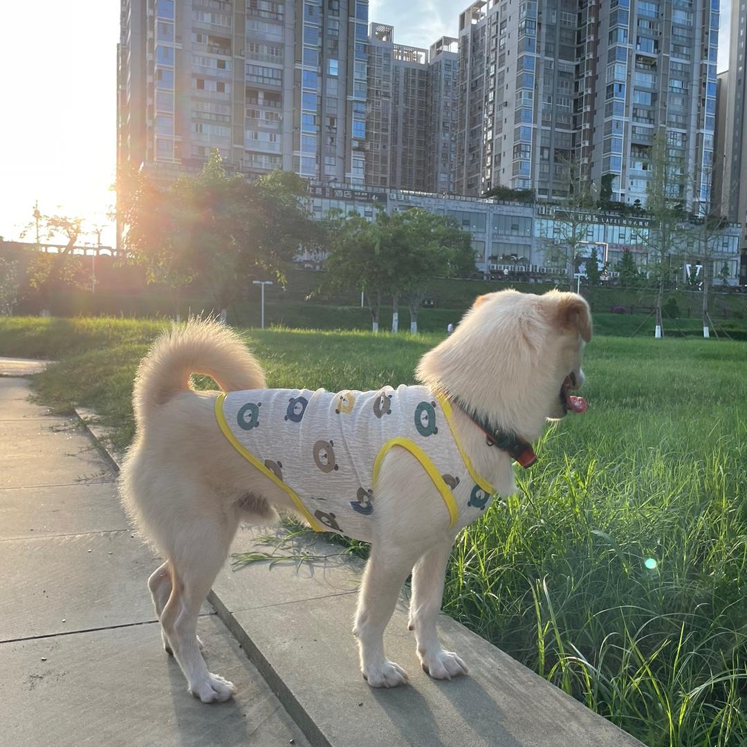 小张童鞋
