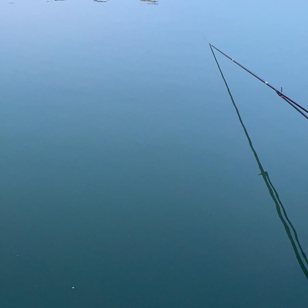 做个快乐的肥宅