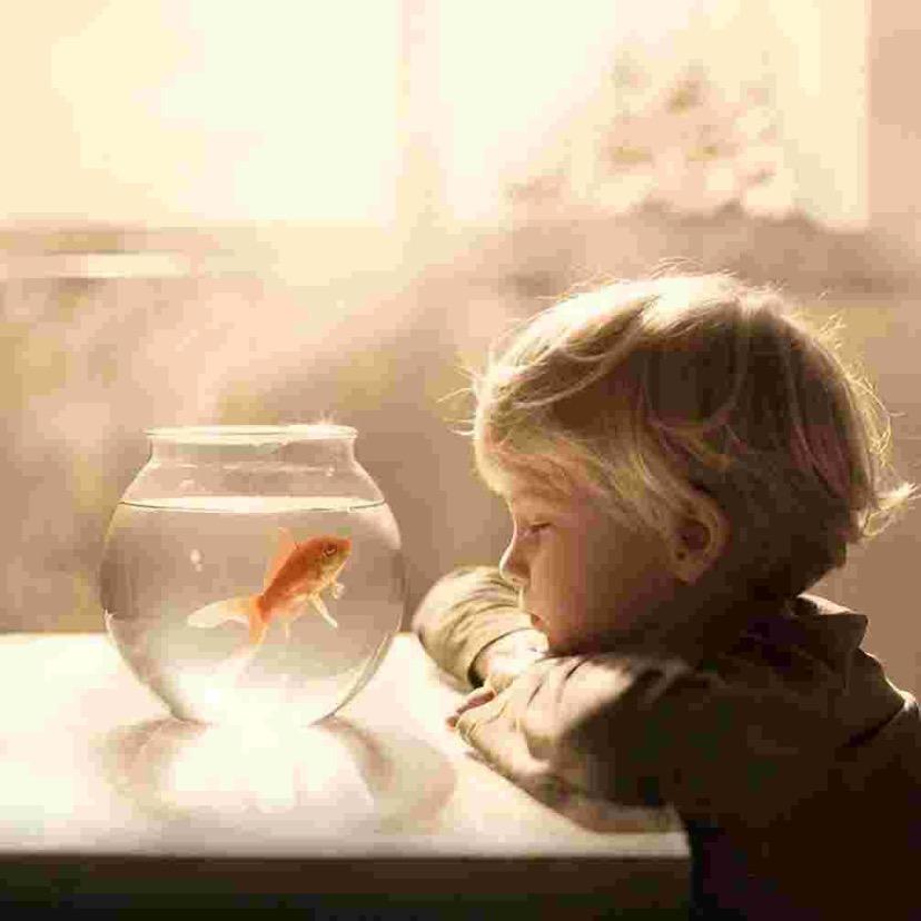 不知道叫什么…