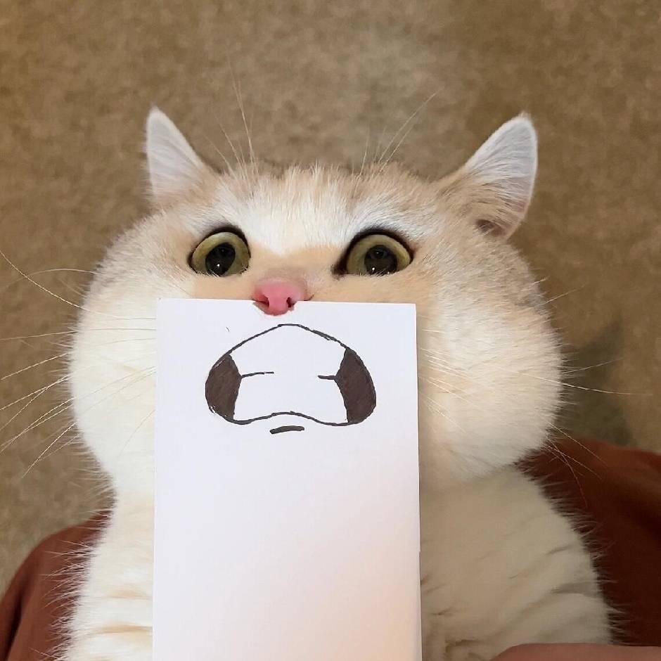 每天一个鬼点子