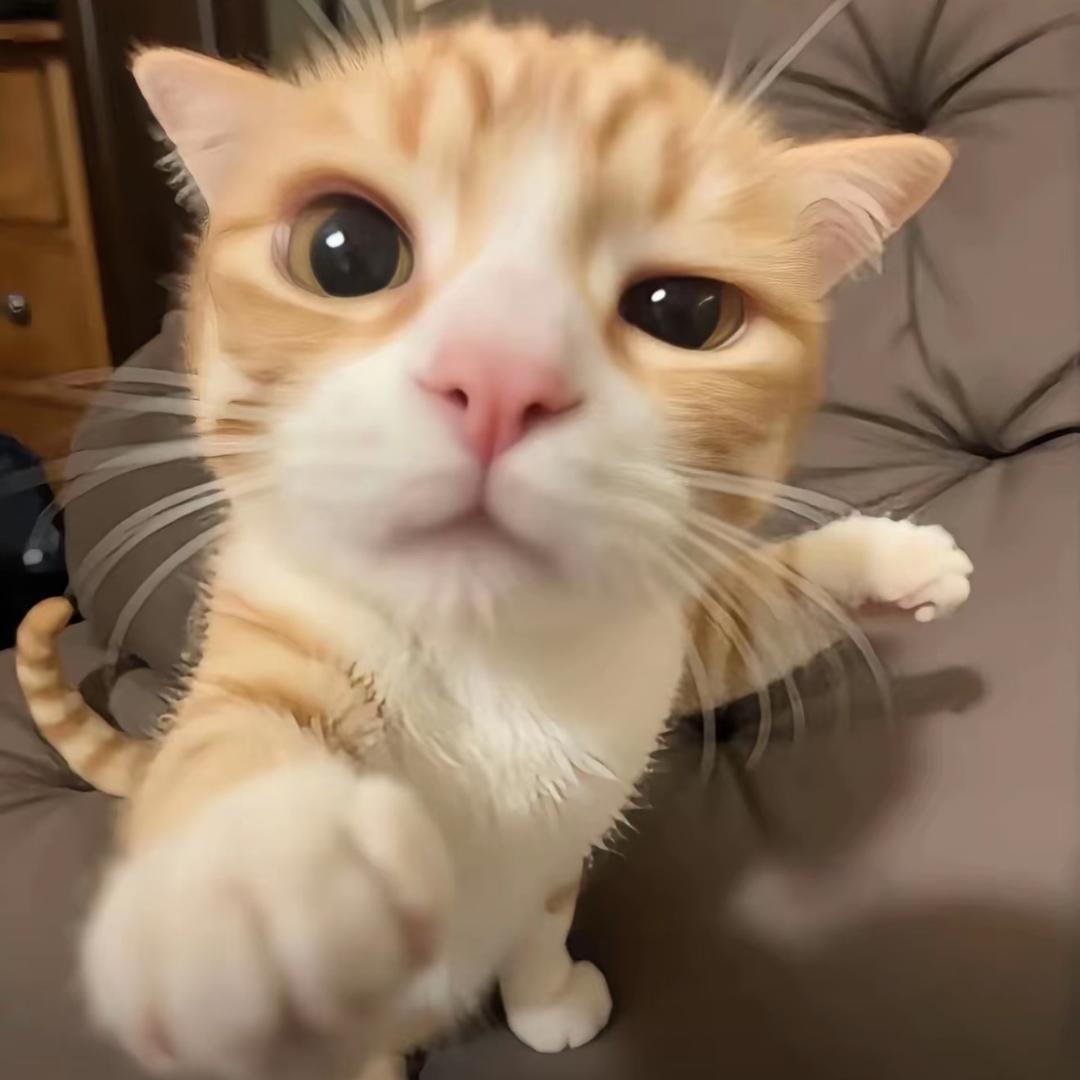 人烟.