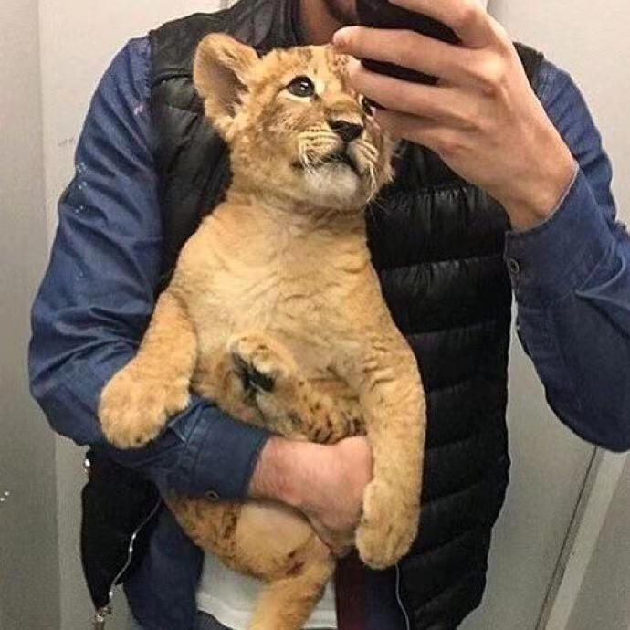 * 𝑪𝑰𝑫𝑼𝑵·