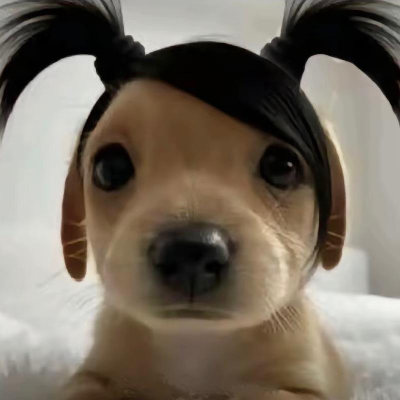我又怎么你了
