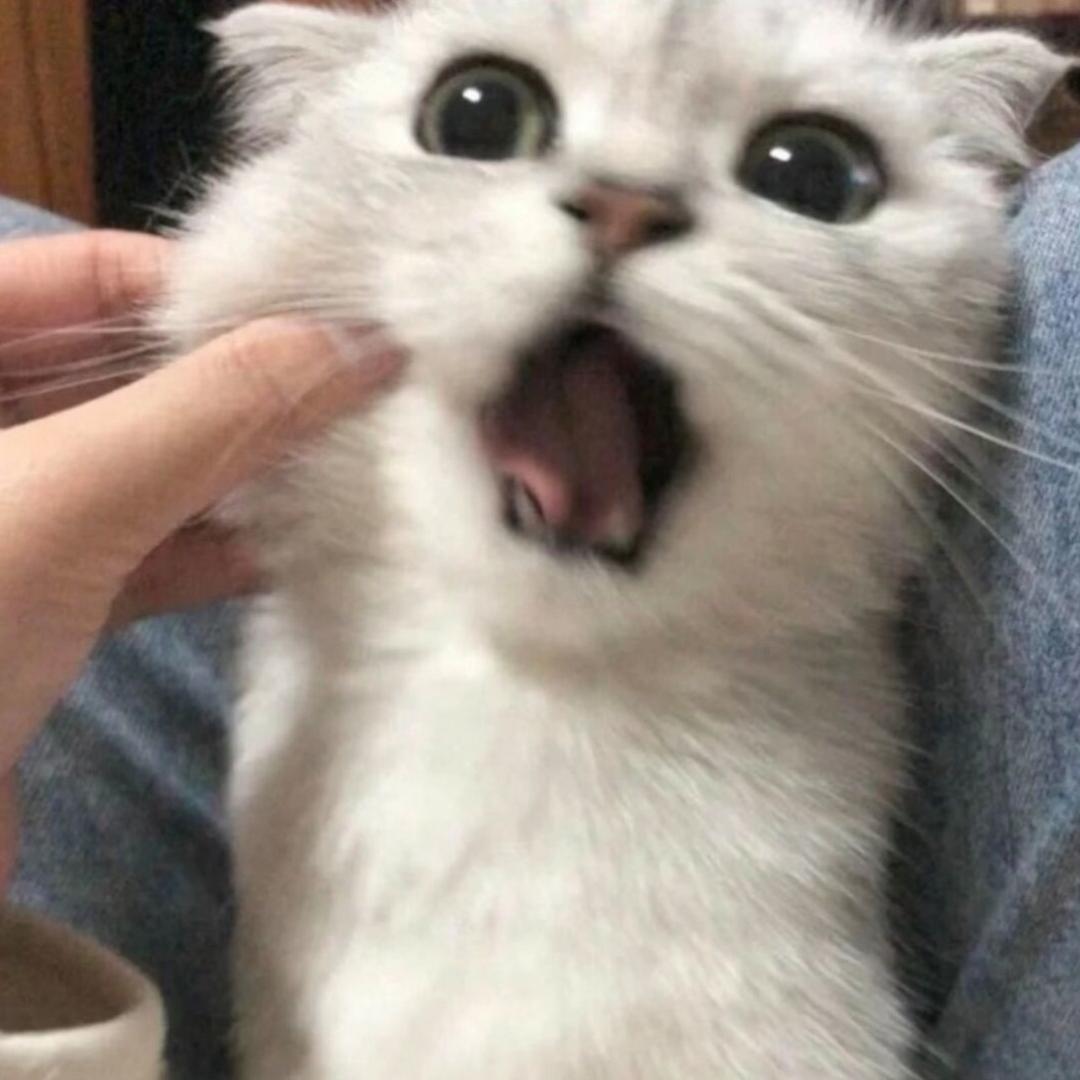 神明也曾流过泪