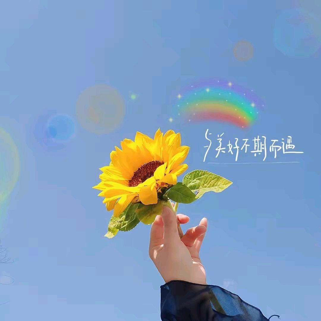 欢囍✨