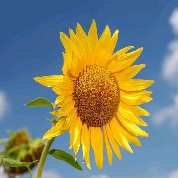 肉墩墩，😊😊