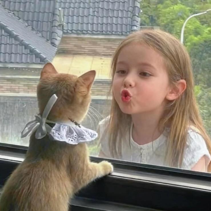 微醺小猫^