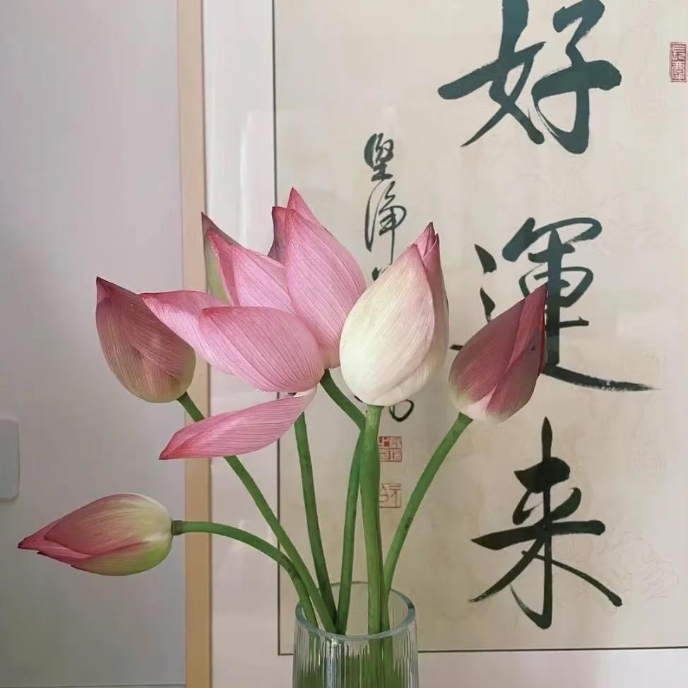 春日来信