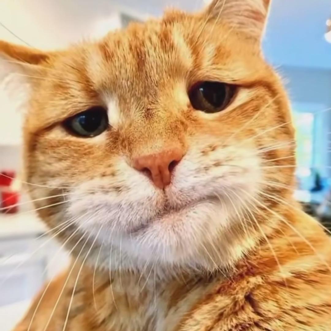 𝐏𝐋𝐀𝐘 𝐇𝐎𝐔𝐒𝐄邹