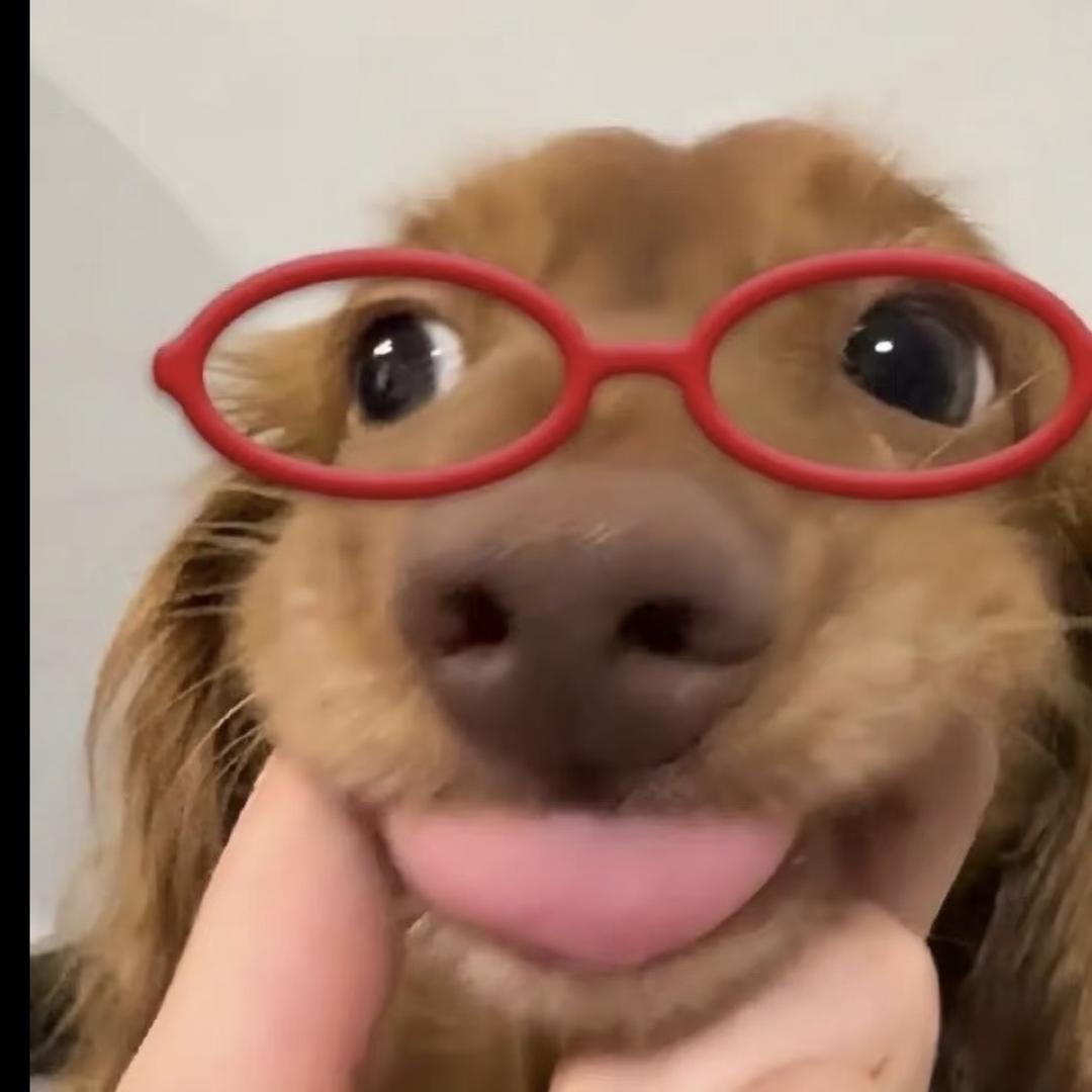 何珍珍ღ❥