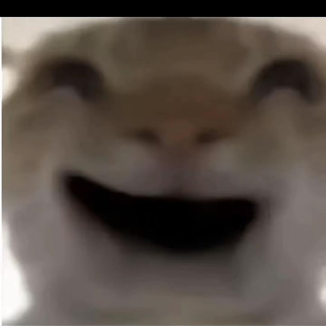hcnn2