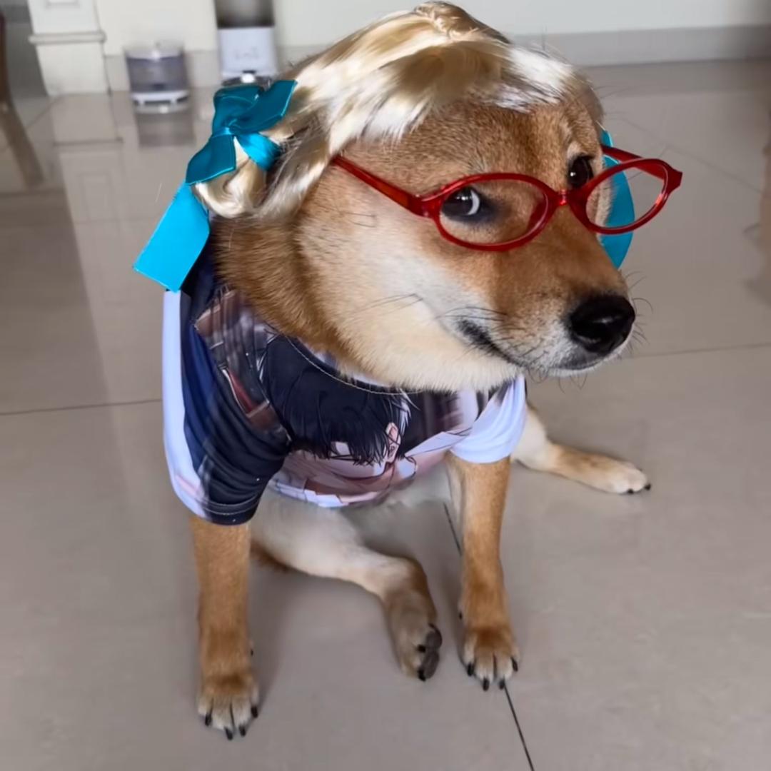 𓃠🍟薯条太好吃啦