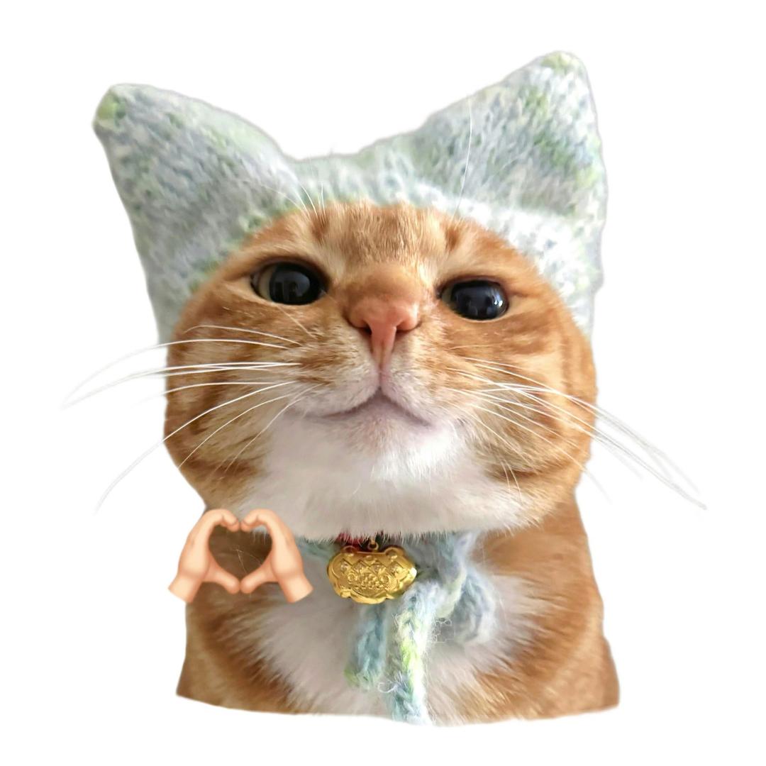 54猫桃